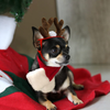 Enjoying Pet Costume - Small Dog Cat Sailor Costume, Halloween Witch Hat, Santa Set, Christmas Antler Headband with Scarf, New Year Pet Outfit