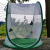 Collapsible Insect Cage,Plant Greenhouse Habitat Tent,Insect Cage Butterfly Habitat Net with Zipper Closure,Light-transmitting Mesh Screen Grow Tent