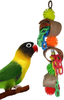 Fetch-It Pets 2 Pack Bird/Parrot Ring Toss & Fiesta Foraging Toys Suitable for Small Parakeets, Cockatiel, Conures, Finches, Budgie, Macaws, Parrots, Love Birds