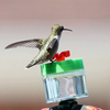 Wild Bird Feeder Hummingbird Wrist Feeders for Outdoors Hand Feed with Adjustable Strap for Garden Yard Decoration (D)
