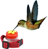 Hummingbird Wrist Feeder Feeding Perch Hand Feed with Adjustable Strap