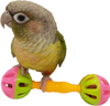Tropical Chickens Small Bird Parrot Toy, Enrichment Rattle Bells, Parakeets, Conures, Cockatiels, Love Birds, Green Cheek, Small Birds Foraging Foot Toy