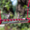 Muicook Hummingbird Feeders for Outdoors Hanging Pole Small-Aperture Long-Tube Bird Feeder with Rest Pole,Bird Feeder for Outdoor Garden Farm (15.75)
