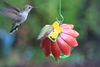 Wild Wings WWSFHF5 So Real Single Flower Hummingbird Feeder, Red/Yellow (2-Pack),