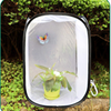 NUOBESTY Butterfly Habitat,Collapsible Insect Mesh Cage Pop-up 30 x 30 x 30 cm Kids Butterfly Net