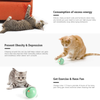 Interactive Cat Toys Ball with LED Light, 360 Degree Self Auto Rotating Intelligent Ball, Smart USB Rechargeable Spinning Cat Ball Toy,Stimulate Hunting Instinct Kitten Funny Chaser Roller Pet Toy