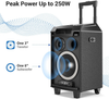 VeGue Wireless Karaoke Machine, Portable PA System Bluetooth Speaker with 8'' Subwoofer, Wireless Singing Microphone for Home Karaoke, Party, Meeting, Outdoor/Indoor Activities(VS-0866)