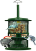 Squirrel Buster Nut Feeder Squirrel-Proof Bird Feeder for Nuts and Fruit, Two Meshes