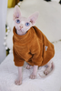 DUOMASUMI Sphynx Cat Clothes Elegant Warm Cat Sweater Fashion Comfort Winter Cat Apparel Cat Clothes for Sphinx, Cornish Rex, Devon Rex, Peterbald,Abbey
