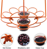 CYnice Oriole Bird Feeders for Outside, Hummingbird Feeder Metal Hanging Bird Feeder with Fruit Stick Feeder & Glass Jelly Container(2 Glass Cup)