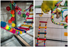 DS. DISTINCTIVE STYLE Bird Ladder Toys 27.6 Inch Coloured Flexible Parrot Swing Bridge Wooden Cockatiel Cage Hanging Climbing Ladder
