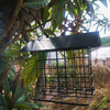 wastreake Hanging Bird Feeder, Rust UV Resistant Outdoor Mesh Metal Wild Bird Breeder Shelled Peanut Feeder with Hanging Wire, Hanging Bird Feeder for Outdoor Garden Yard