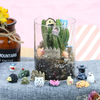 104 PCS Miniature Fairy Garden Accessories, Including Fairy Garden Animals, Mini Garden Houses and DIY Fairy Garden Dollhouse Decoration,Miniature Figurines, Micro Landscape Ornaments, Garden DIY Kit