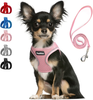 PetiFine Step in Dog Harness and Leash Set, Cat Harness and Leash Escape Proof, All Weather Mesh Reflective, Step-in Air Vest Harness for Cat Puppy Extra Small/Small/Medium Dogs