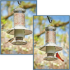 Wingscapes AutoFeeder Automatic Bird Feeder