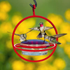 Mosaic Birds M047-301-R Hummble Bold Hummingbird Feeder Red