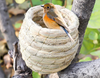 Lucky Interests 2Pcs Birdcage Straw, Natural Fiber Simulation Birdhouse, Resting Breeding Place for Birds, Handmade Birds Nest Straw Bird, Hideaway from Predators, Provides Shelter from Cold Weather