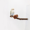 MISS FIRE Bird Perch,Parrot Perch Stands with Pine Cones,Birds Stand Pole Natural Wild Stick Grinding Paw Climbing Standing Cage Accessories Toy Branches for Parakeet, Budgies, Lovebirds