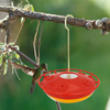 Hummingbird Feeders for Outdoors Hanging 2 Pack and 1 x Handheld Hummingbird Feeder for Window,Leak-Proof,Easy to Clean and Fill,Including Hanging Hook Ant Moat,2 x Cleaning Brush (16oz)