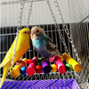 PIVBY Bird Rope Step Ladder Toy Bridge Cage Hammock Swing Toys for Parrot Parakeet Budgie Cockatiel Pack of 2