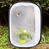 NUOBESTY Butterfly Habitat,Collapsible Insect Mesh Cage Pop-up 30 x 30 x 30 cm Kids Butterfly Net