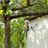 Wild Bird Feeder - Outdoor Hanging for Garden Yard Decoration (Black)