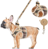 Soft Mesh Small Dog Harness with Leash - Basic Plaid Padded Chest Vest for Kitties, Puppy, Small Pets