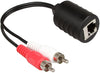 Stereo DC3.5mm Stereo and RCA Red White Audio Signal Balun Over Cat5/6 Cable