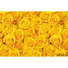 Flower Photo Background Flower Wedding Bride Baby Shower Birthday Party Decoration Photography Flower Wall Photo Studio Custom B