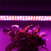 60W 112pcs LED Full Spectrum Grow Lights AC85-265V Indoor Plant Lamp for Plants Vegs Hydroponic