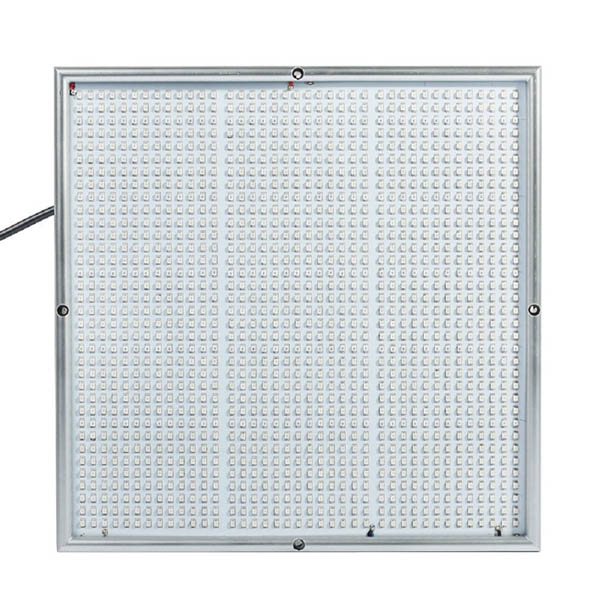 100W 1131Red 234Blue LED Grow Lights Plant Growing Lamp Garden Greenhouse Plant Seedling Light