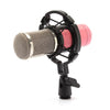 BM800 Recording Dynamic Condenser Microphone with Shock Mount