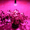 2.2W 3W 4.5W E27 Garden Plant Growth LED Bulb Greenhouse Plant Seedling Light