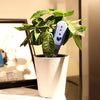 Outdoor Indoor Plants Soil Hygrometer Sensor Garden Plant Water Moisture Light Monitor Tools