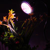 7W LED Plant Grow Lights US Plug Garden and Indoor Planting Wide Illumination