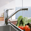 FRAP F4304 Kitchen 360 Degree Rotation Single Handle Dual Holes Water Purification Hot and Cold Water Sink Faucet