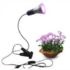 7W LED Growing Light Desk Clip 360 Flexible Adjustable Gooseneck Growth Lamp Indoor Greenhouse Plants Vegetables