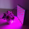 LED Grow Light 14W Red Blue Full Spectrum LED Plant Grow Light Hydroponics Flower Seed Indoor