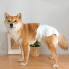 Dog Training Dog Diapers Pet Training and Puppy Pads Portable Soft Dog Breathable